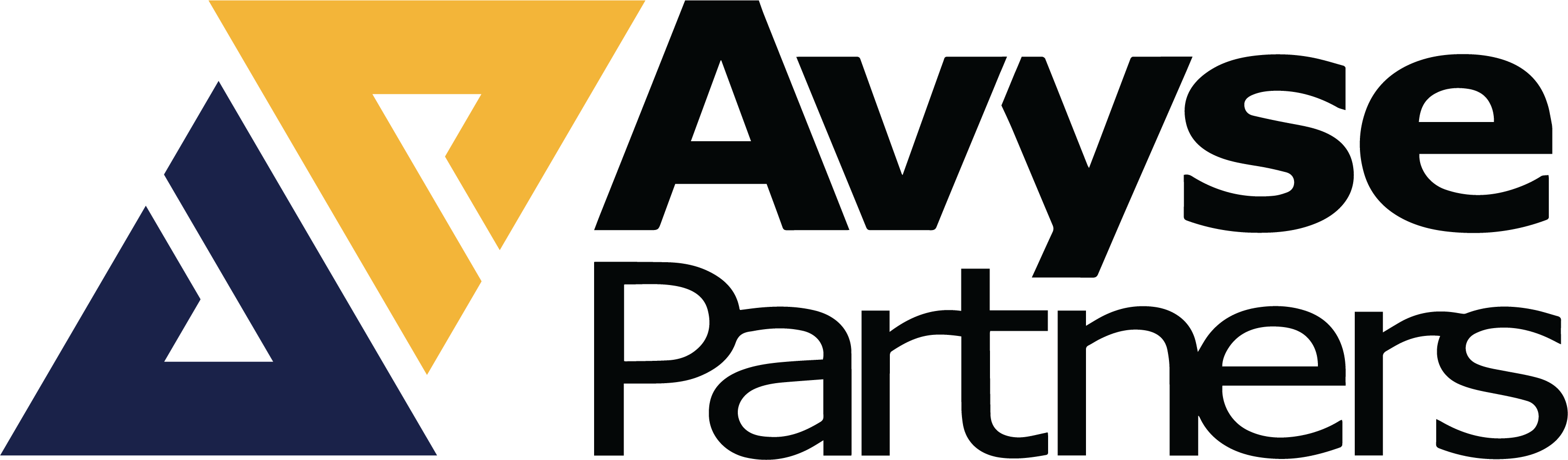 Avyse Partners